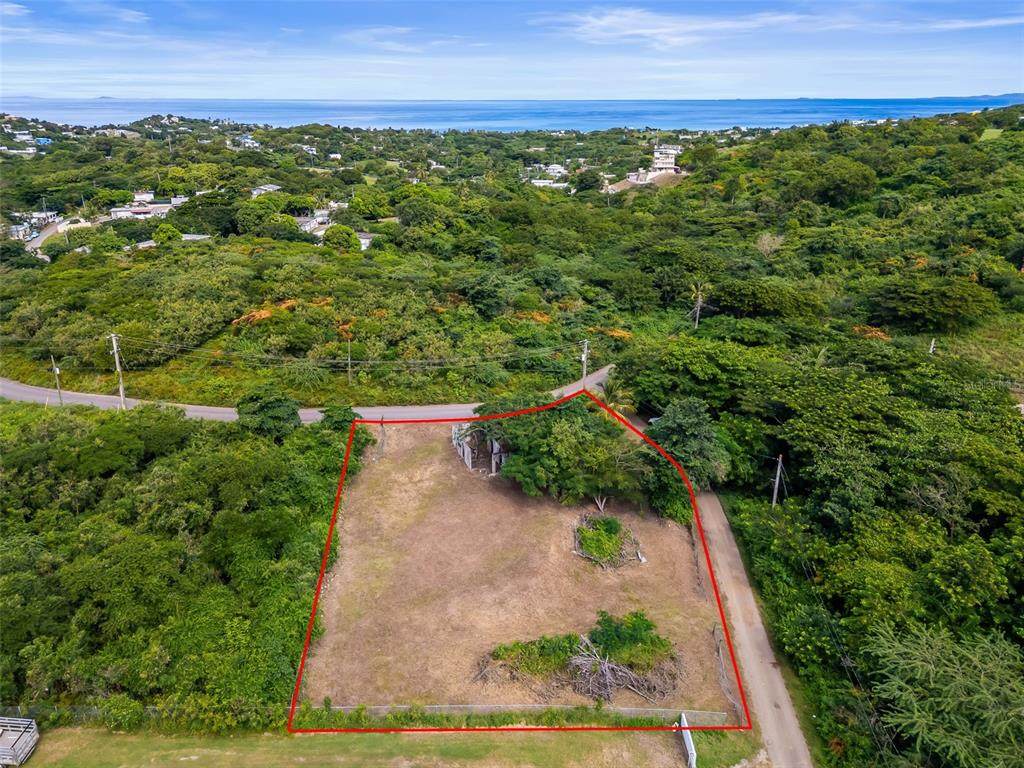 # 336 Villa Borinquen - Photo 1