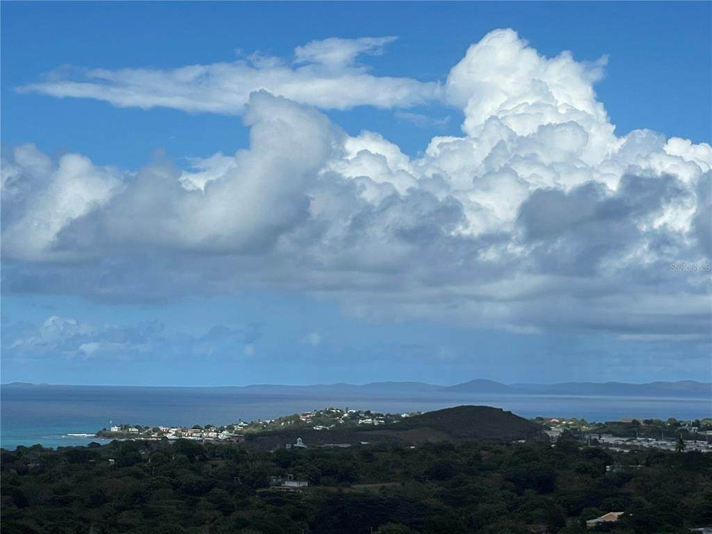 3 Windhorse Farm - Photo 1