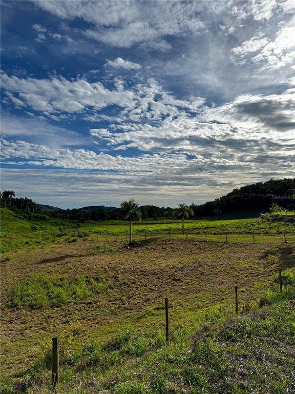 Carr 972 Mariana - Photo 1