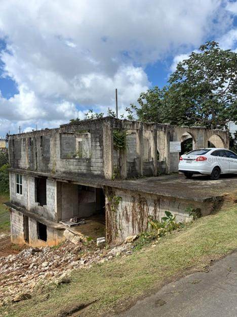 PR-156 KM 49.7 INTER Sumidero Ward - Photo 1