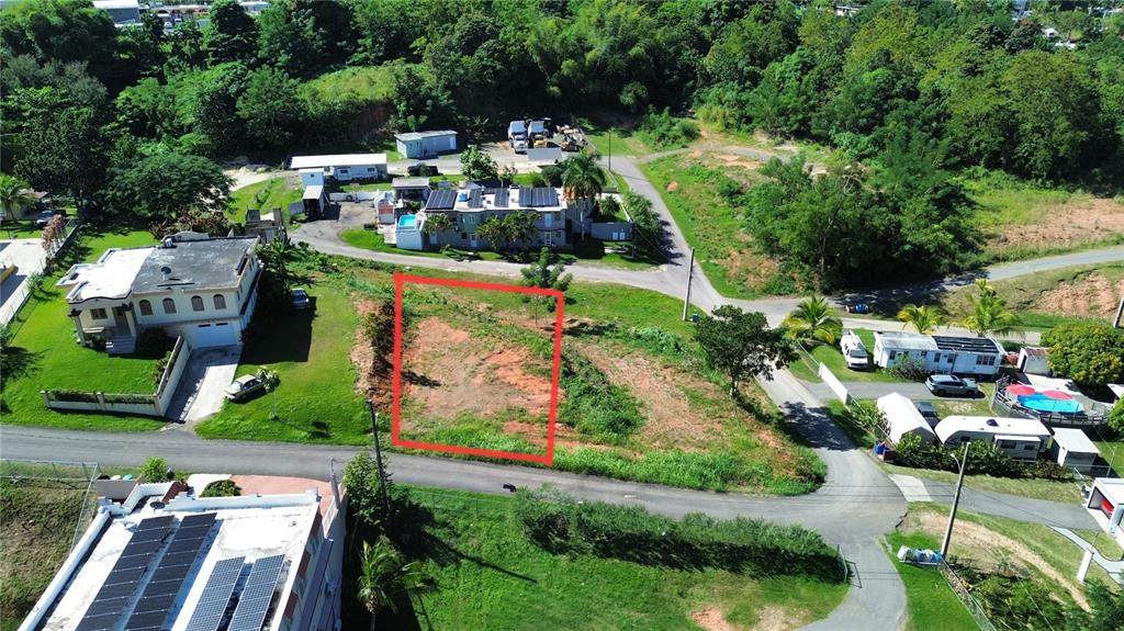 Guayabo 414 - Photo 1