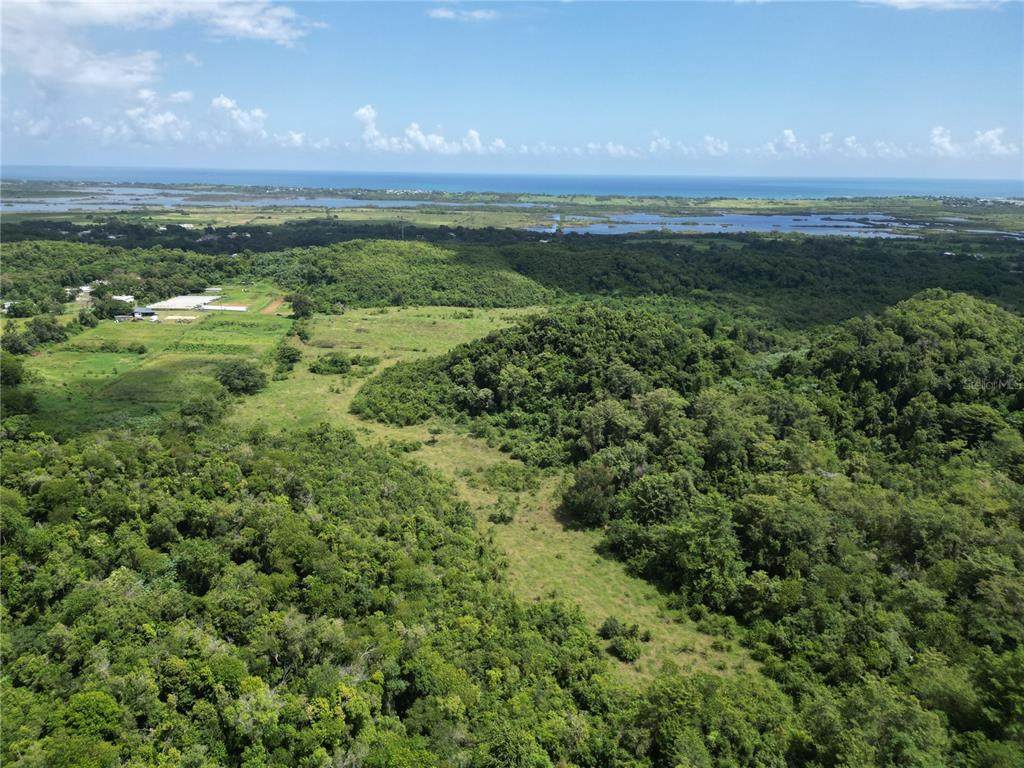 PR 682 KM 6.5 INT Garrochales Ward - Photo 1