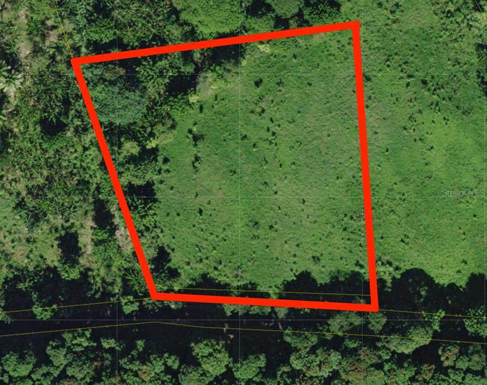  Bo. Cidral Pr-450 - Photo 1