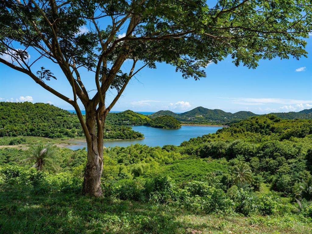 7759 Ramal - Photo 1