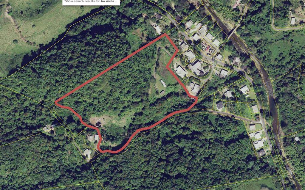 Carr 184 Bo. Mulas - Photo 1