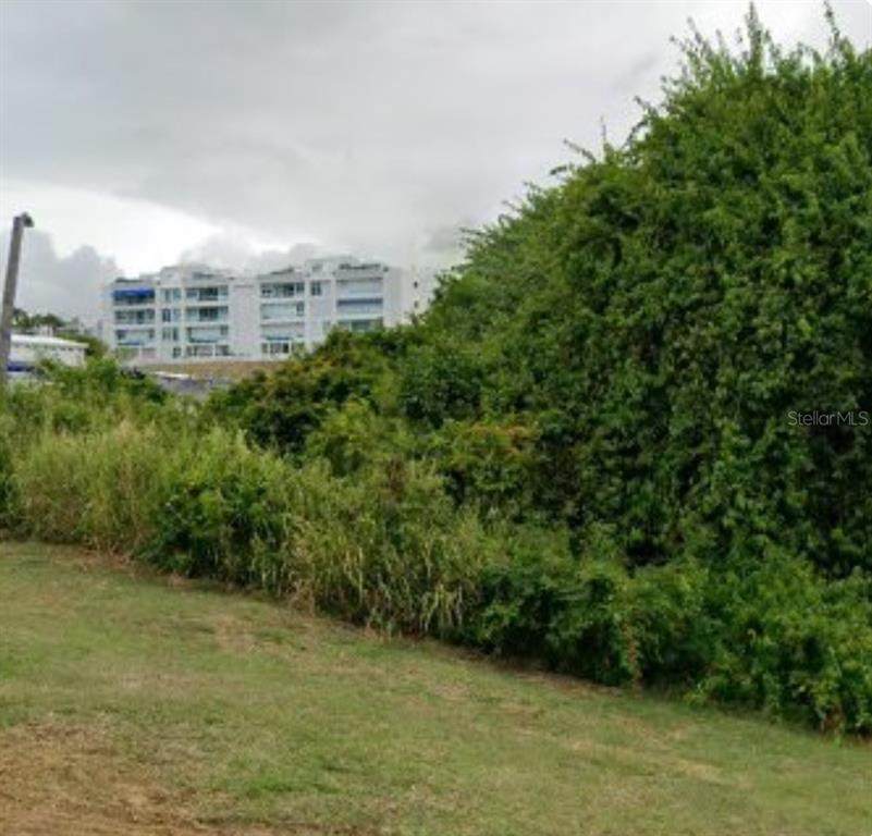 LOT 1 Calle Robles Barrio Las Cabezas - Photo 1