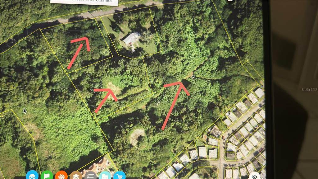  Road 458 Borinquen Ward - Photo 1