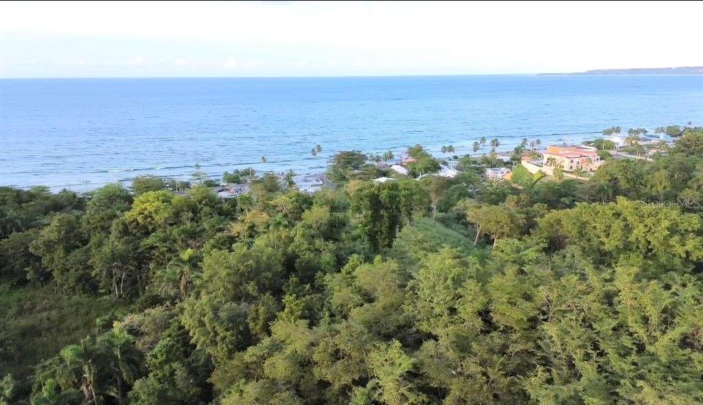  Palmar Novoa - Photo 1