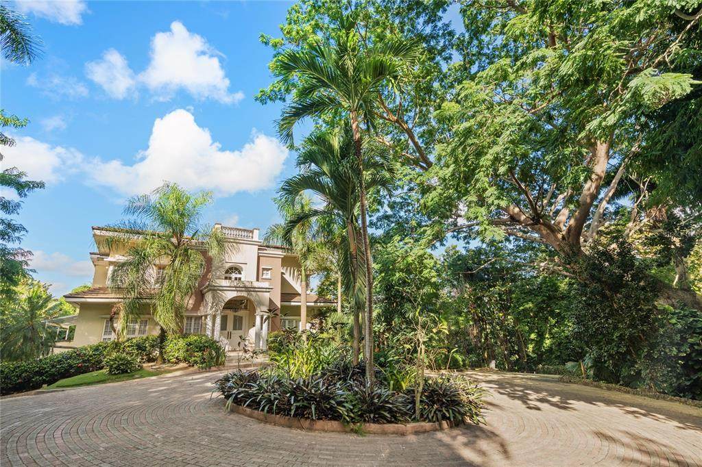513 Tintillo Street Street - Photo 1