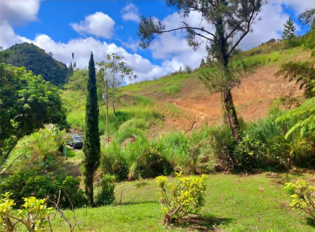 720 Palo Hincado - Photo 1