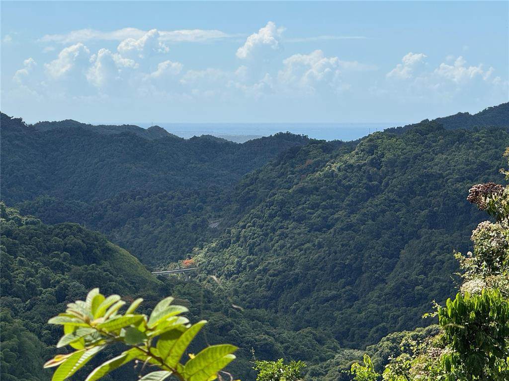 Carr 511 Anton - Photo 1