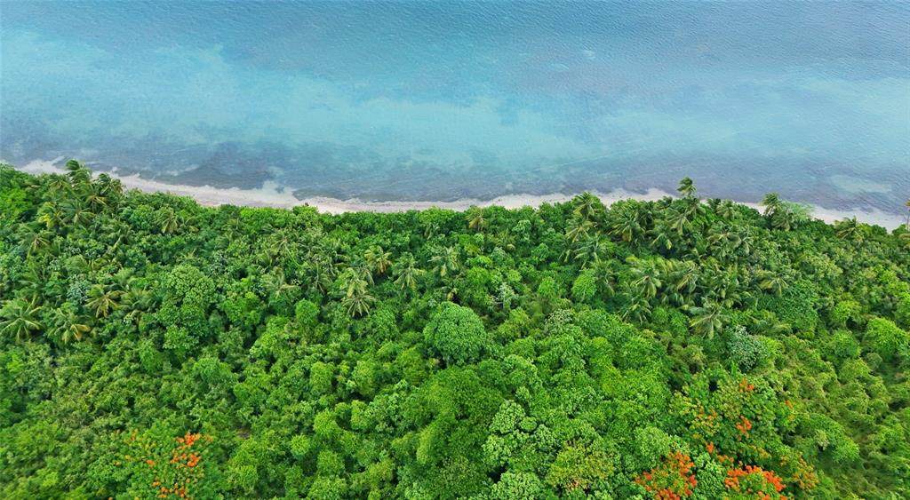 Punta Arenas Puerto Real - Photo 1