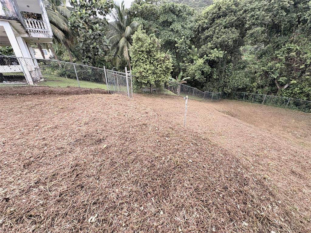 Bo Pitahaya - Photo 1