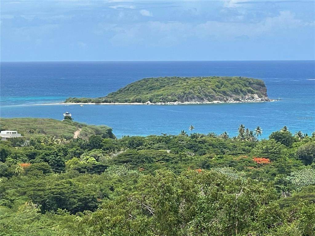 A-1 Finca Vieques - Photo 1