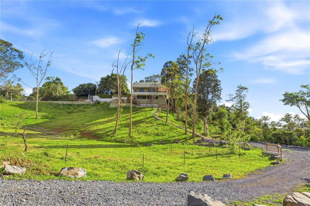 RD15 KM20.6 Bo. Quebrada Arriba - Photo 1