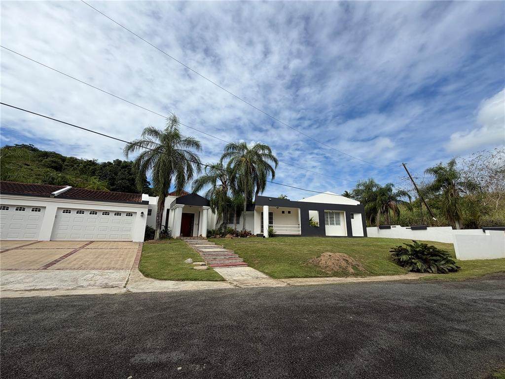 16 Trinitaria - Photo 1