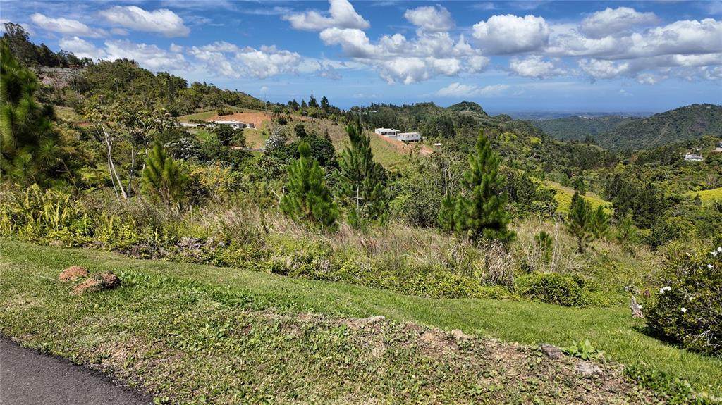 Carr 155 KM 33.1 INT BO. GATO - Photo 1