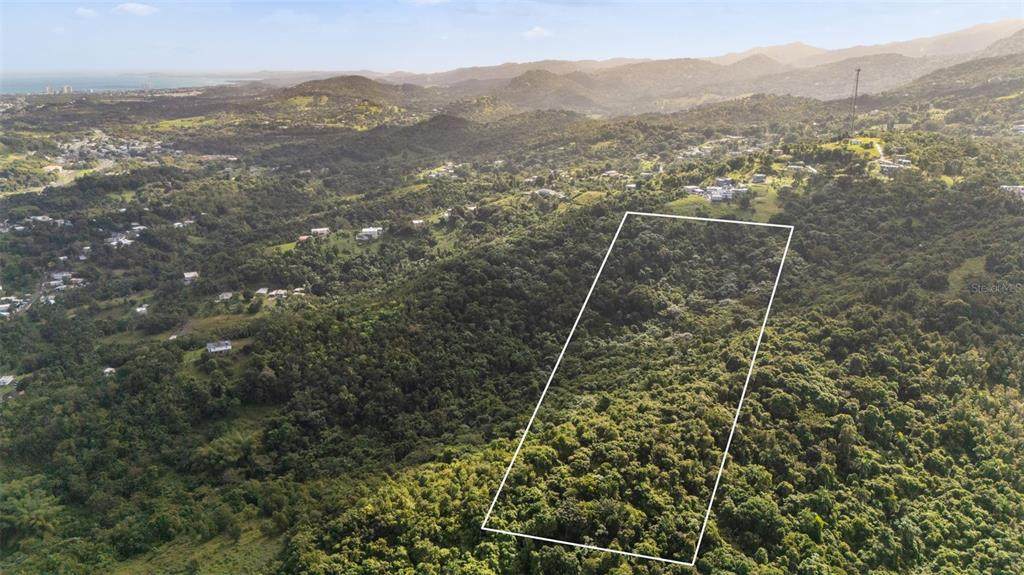 966 Zarzal Road - Photo 1