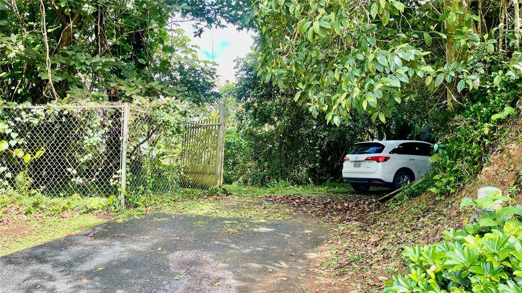718 Bo. Pasto Road - Photo 1