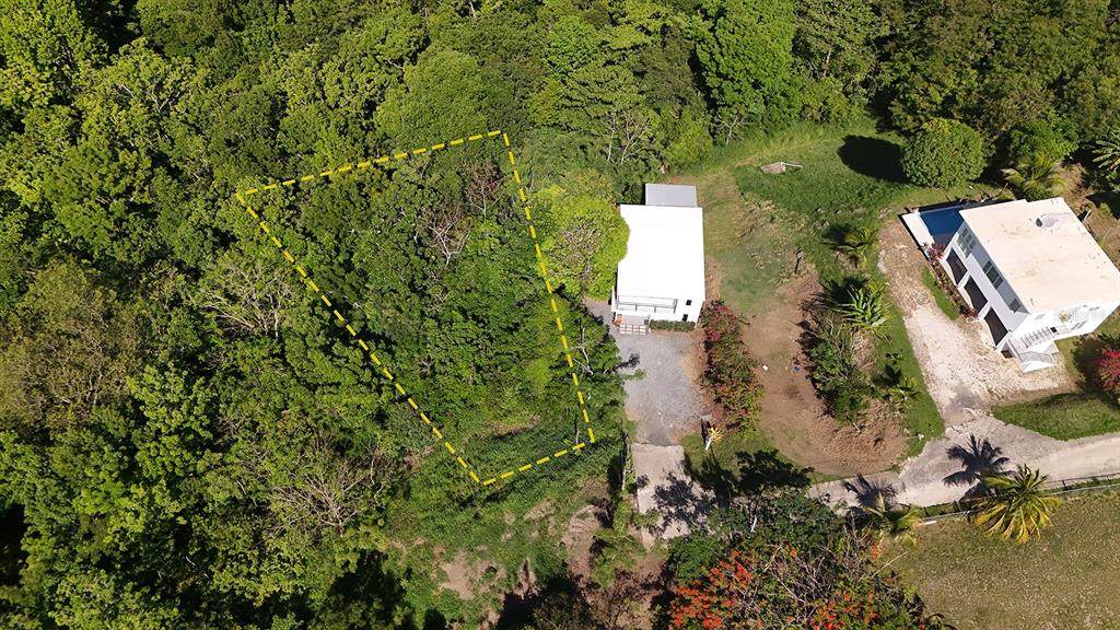 Hidden Tranquil Lot 413 SECTOR COLLAZO - Photo 1