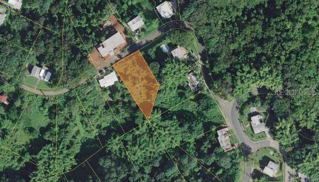 LOT#50 Miradero Gardens Dev., Pitirre St. - Photo 1