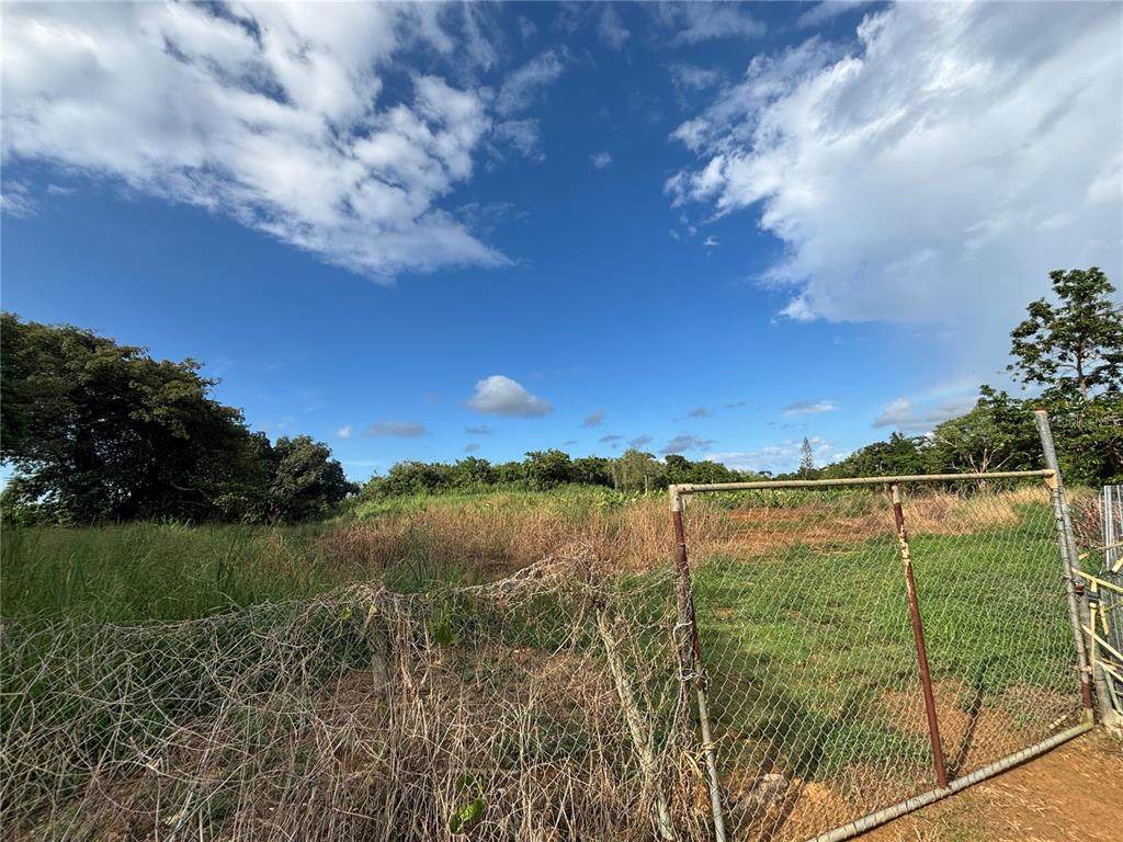  Barrio Ceiba Baja - Photo 1