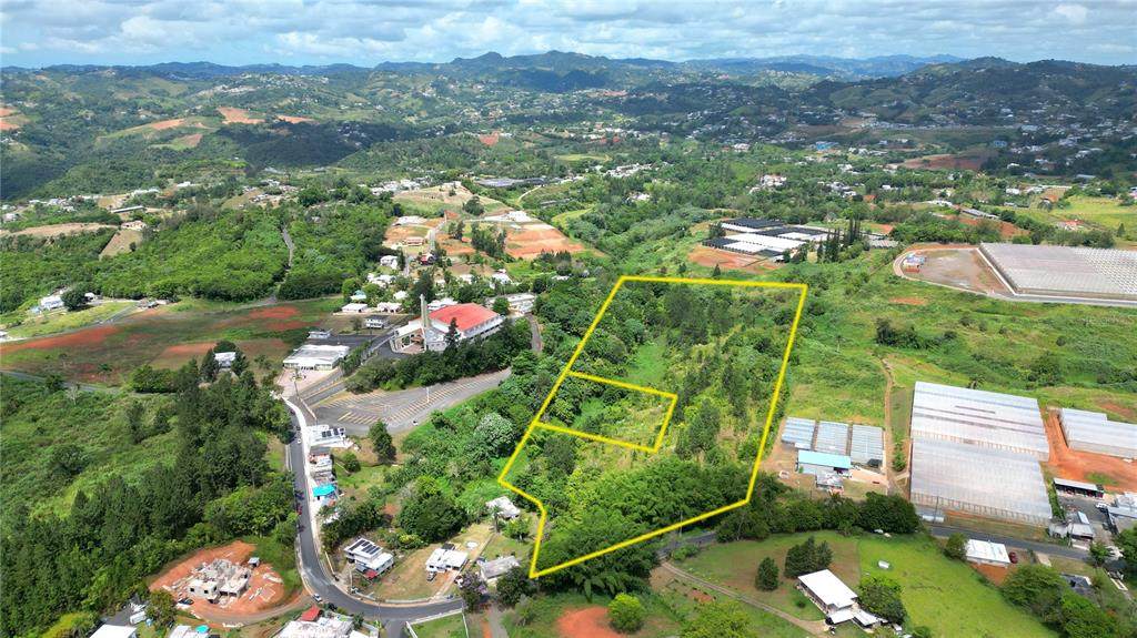 779 St. Quebradillas - Photo 1