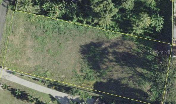3 Lot 103 Colinas De Luquillo - Photo 1
