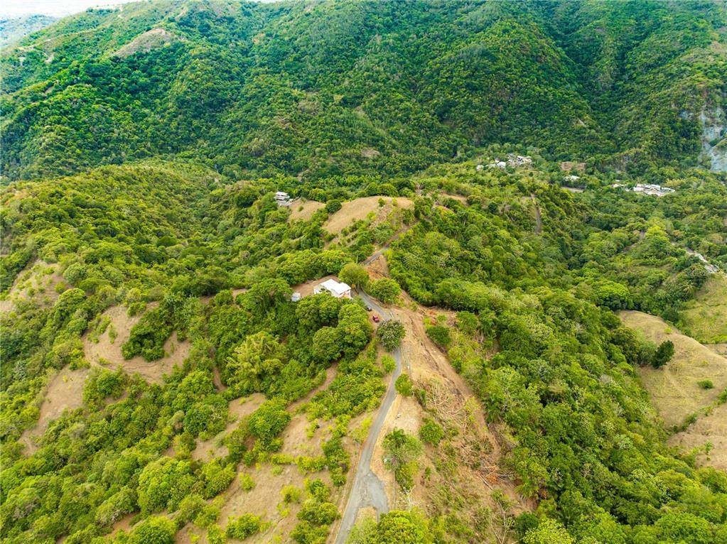 Tabonuco Ward Sr 365 Km 6.4 Int - Photo 1