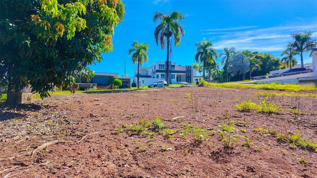  Urb Eugenio Maria De Hostos Calle Carlos E Chardon - Photo 1