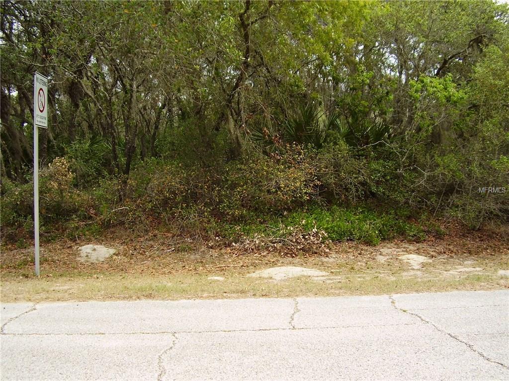 1583 Mediterranean Drive - Photo 1
