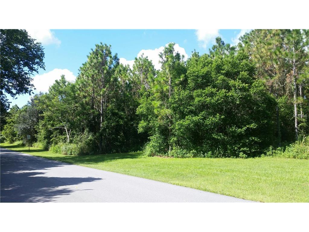 Lakeshore Boulevard - Photo 1