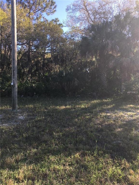 207 Cougar Way - Photo 1
