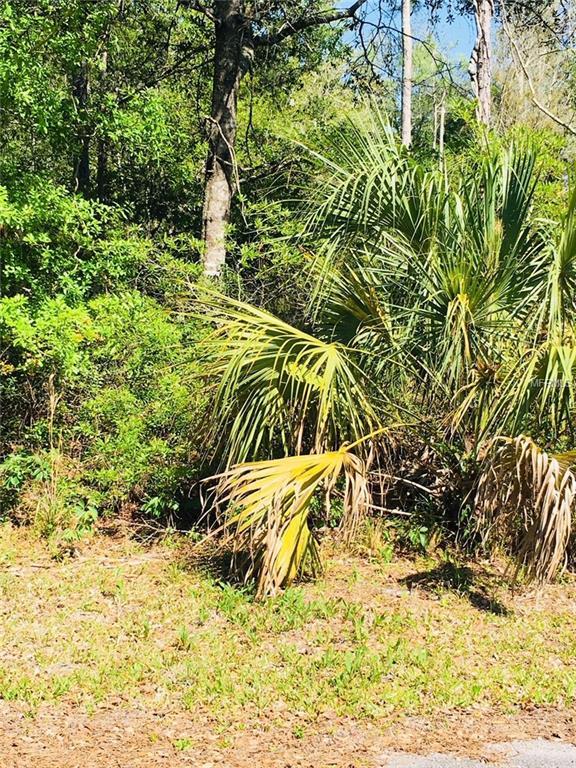 9421 Beechtree Way - Photo 1