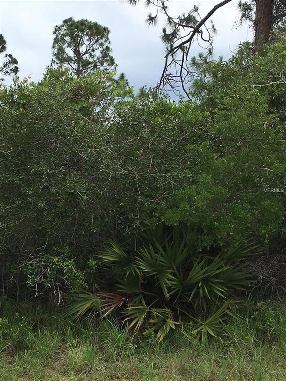 12468 Catalina Drive - Photo 1