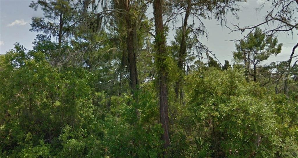 Wildrose Avenue - Photo 1