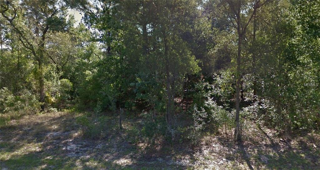 10195 Sun City Terrace - Photo 1