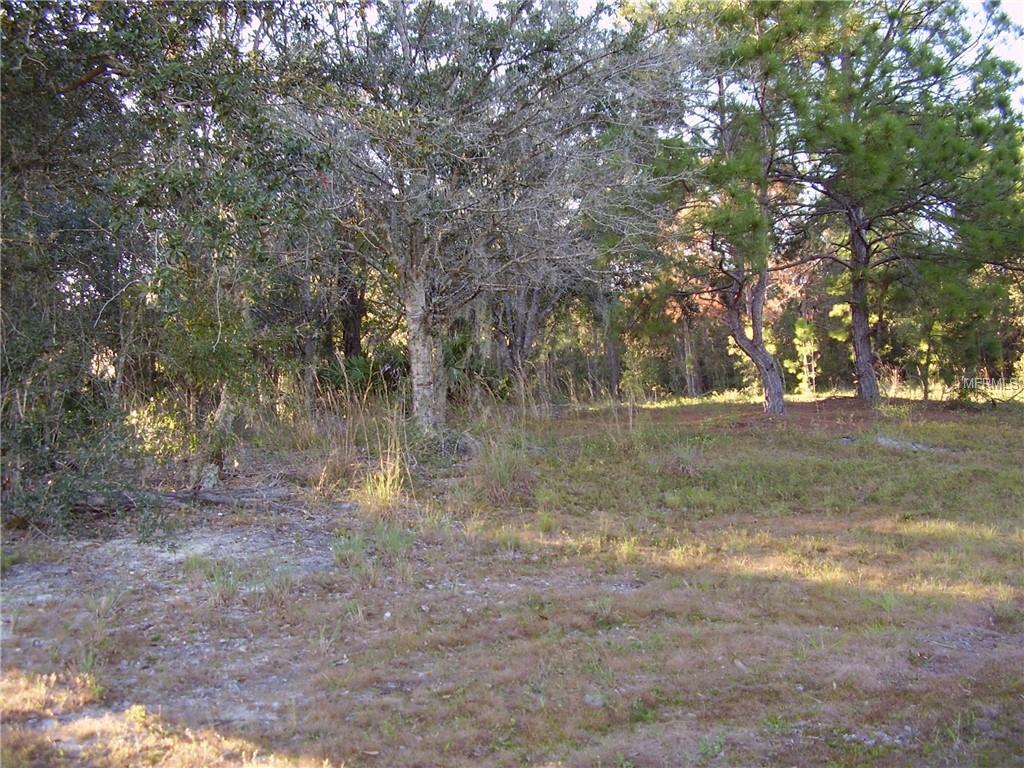 1417 Teal Court - Photo 1