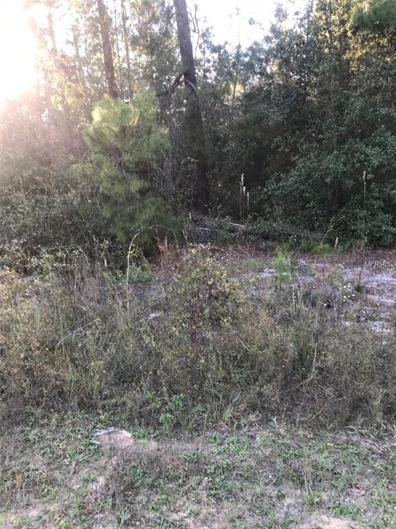 Creager Avenue - Photo 1