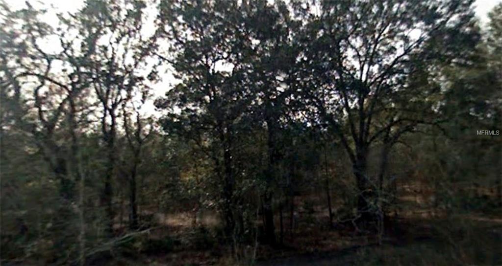 246TH Terrace - Photo 1