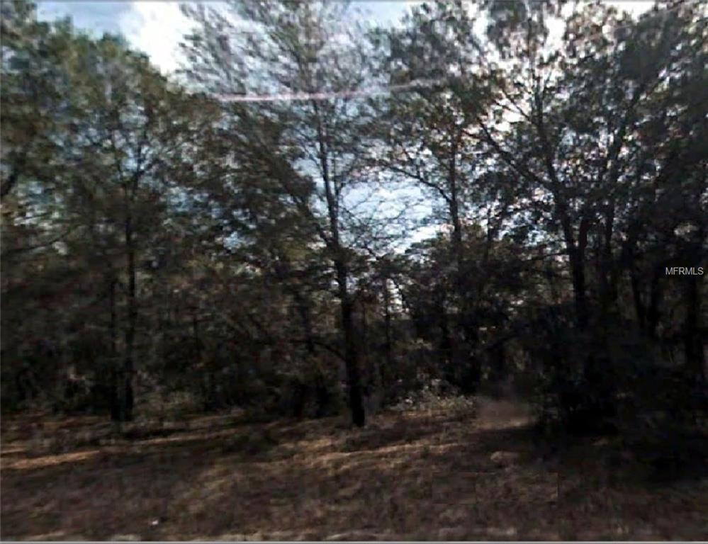 Locust Run Circle - Photo 1