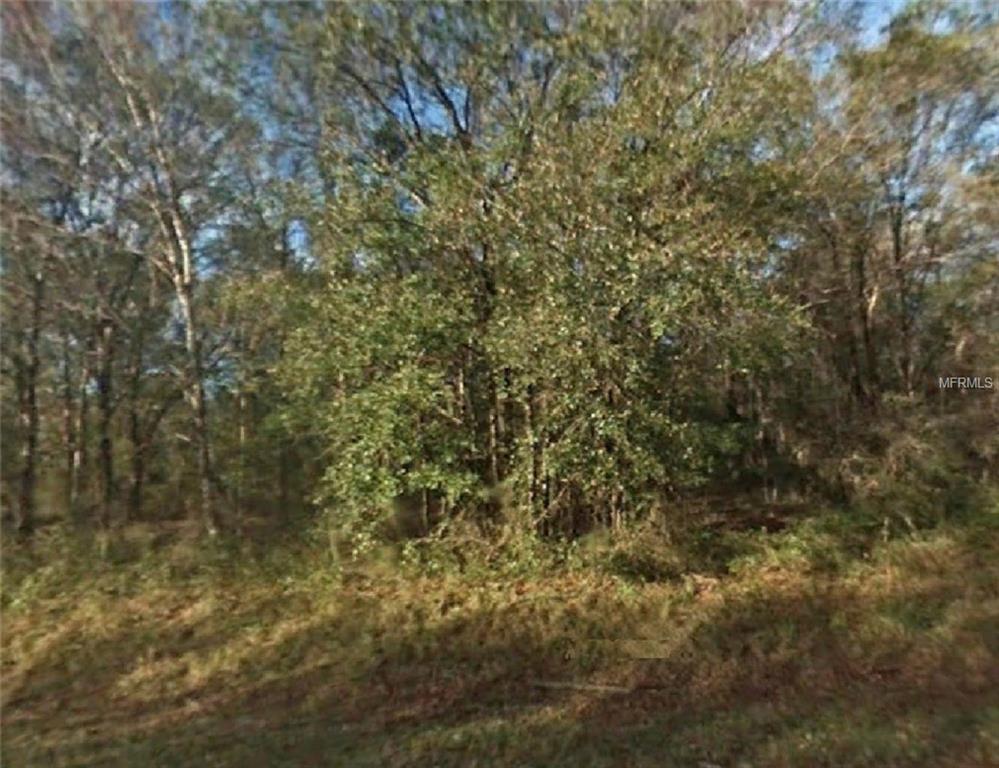4850 Winthrop Street - Photo 1