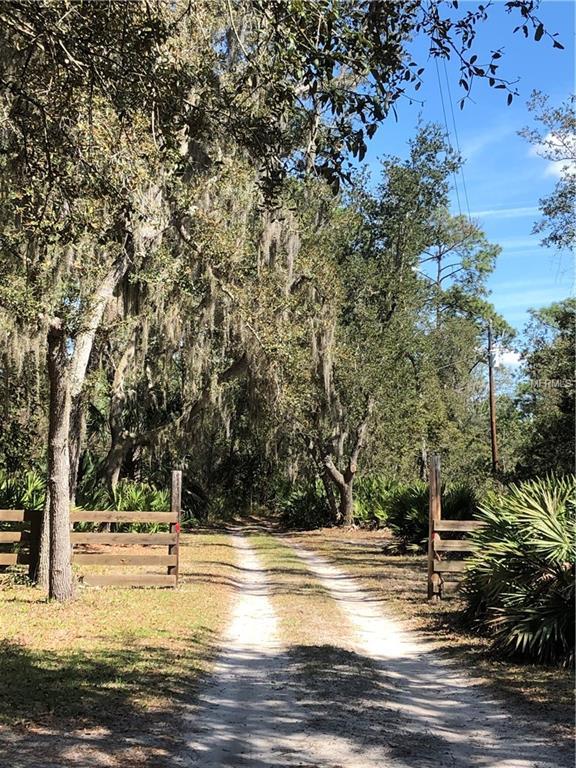 40221 Lake Norris Road - Photo 1