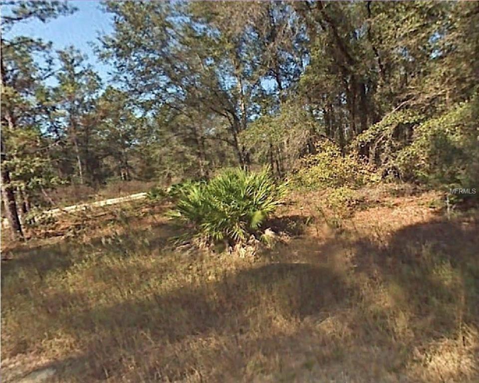 Sw 40Th Place Road - Photo 1