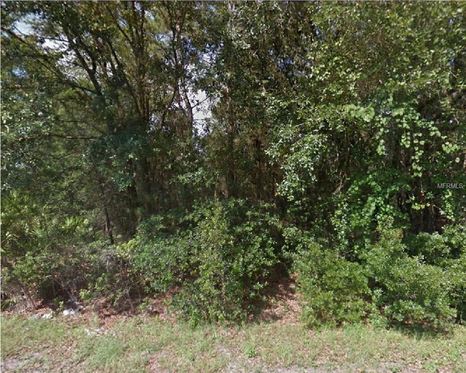 Oak Lane Trak - Photo 1