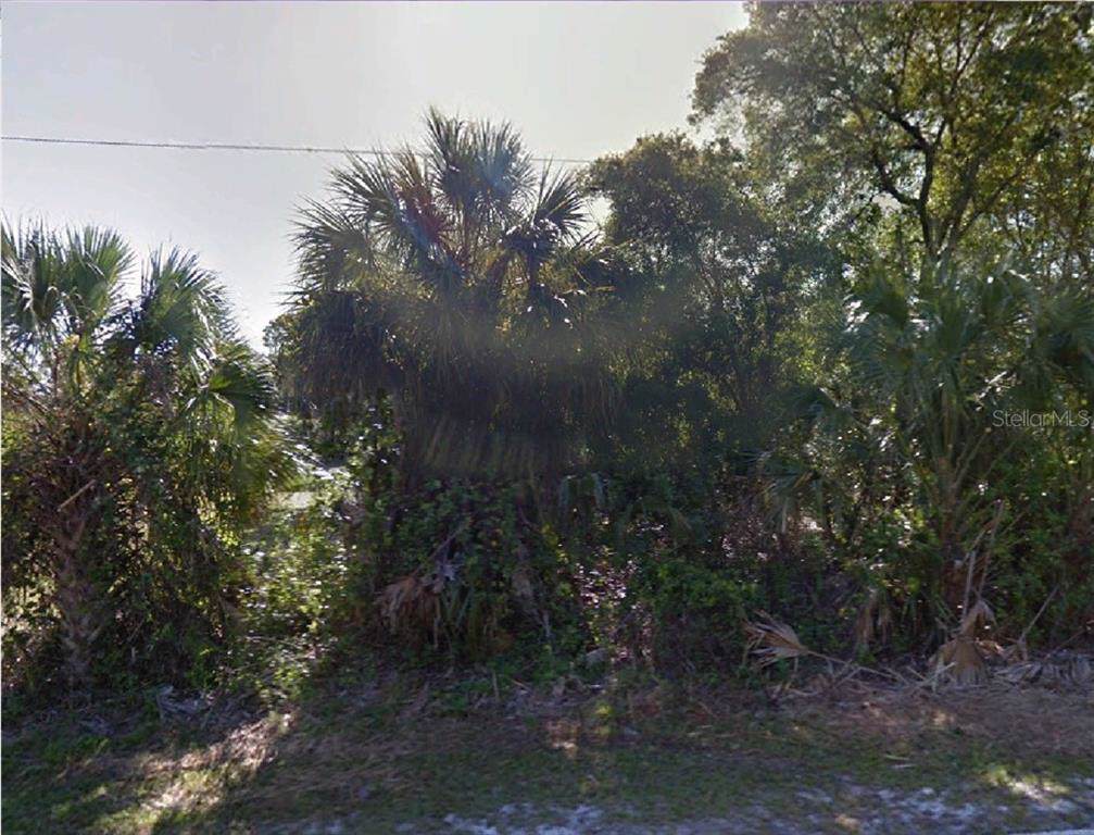 424 Shoreland Street - Photo 1