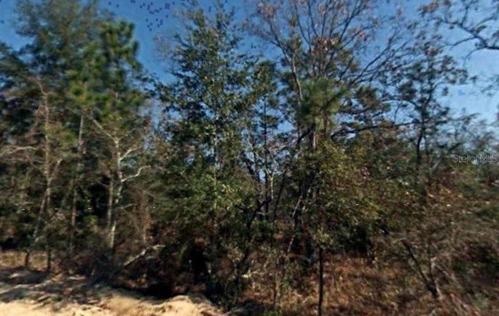 215 Highland Drive - Photo 1