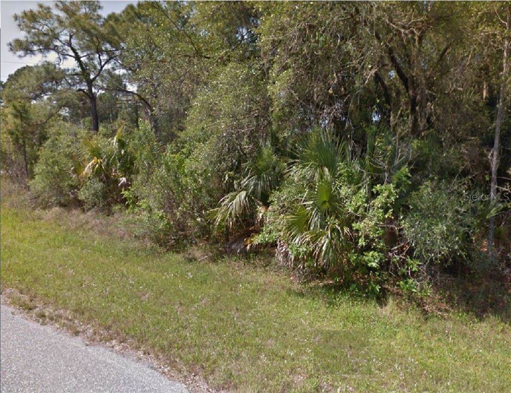 1547 Candy Lane - Photo 1