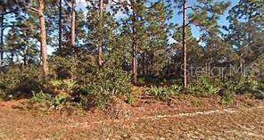 16 Amaryllis Drive - Photo 1