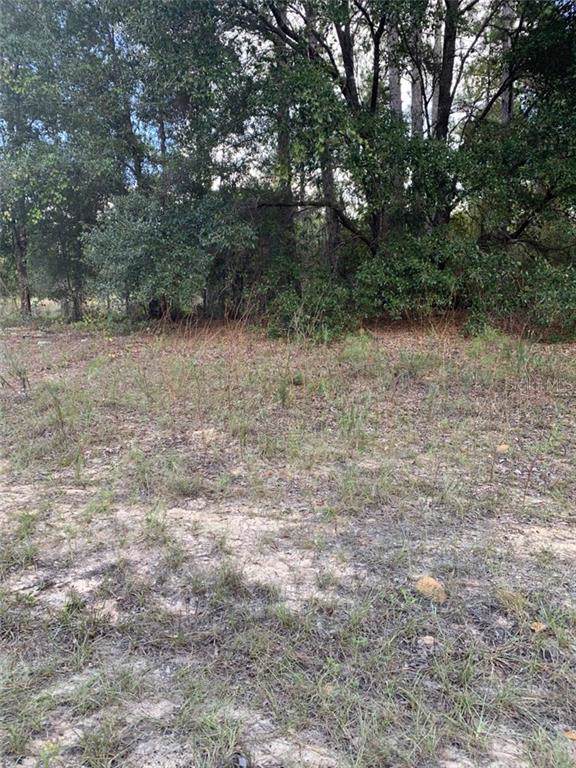 1255 Toledo Drive - Photo 1